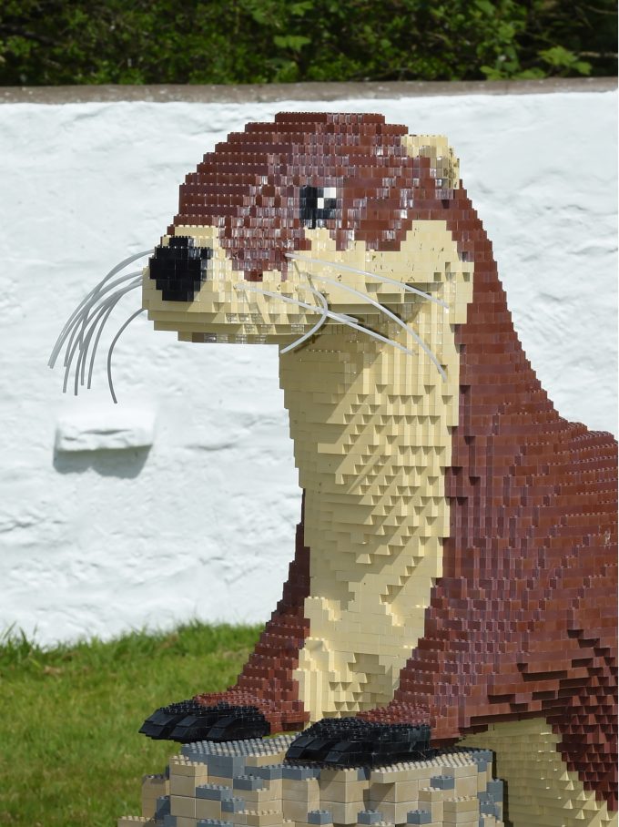 lego wwt caerlaverock