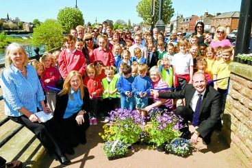 Flower power transforms the Whitesands