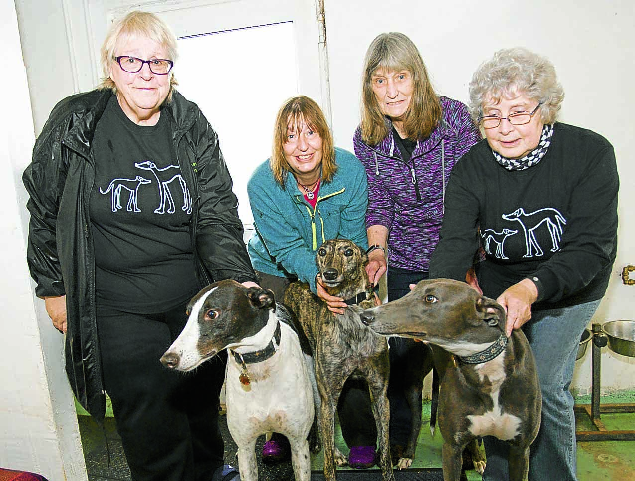 New homeless dog centre launched