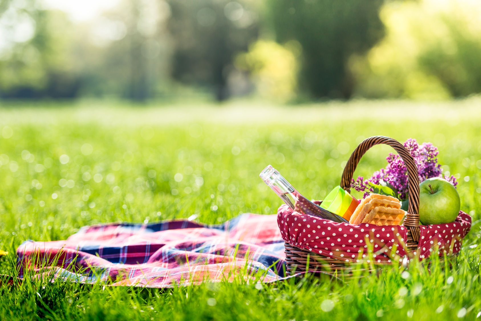 Picnic hotspot