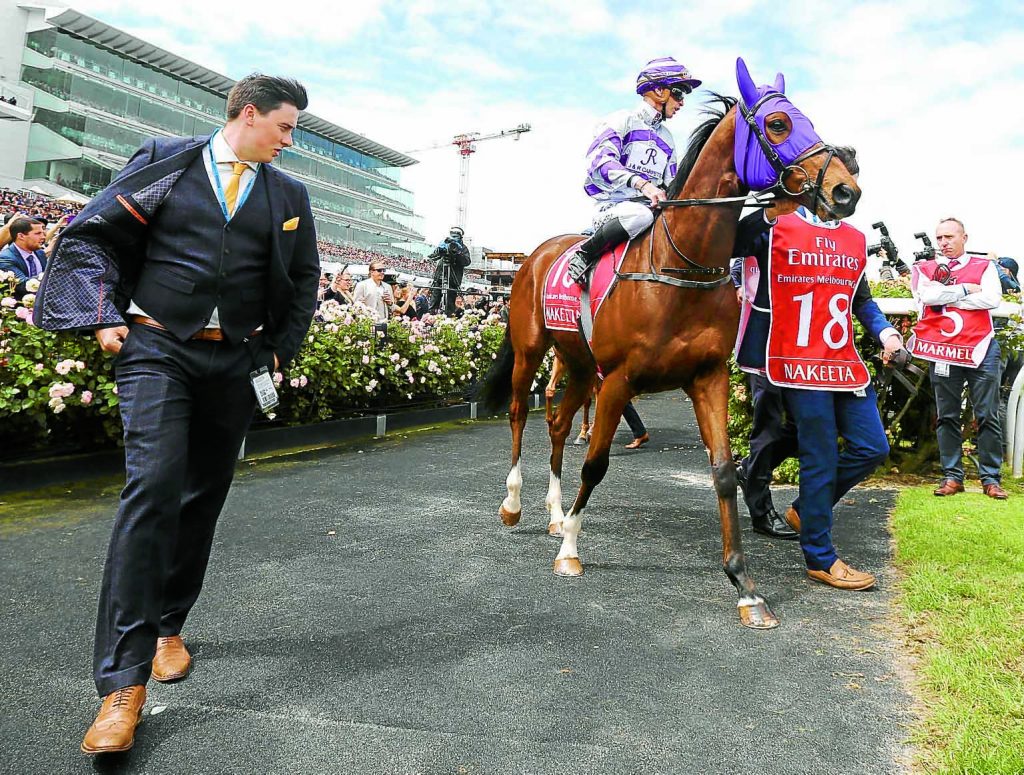 NAKEETA Ridden by Glyn Schofield (purple hood 18) and Trained by Iain Jardine 5th in the Emirates Melbourne Cup at Flemington 7/11/17Photograph by Grossick Racing Photography 0771 046 1723