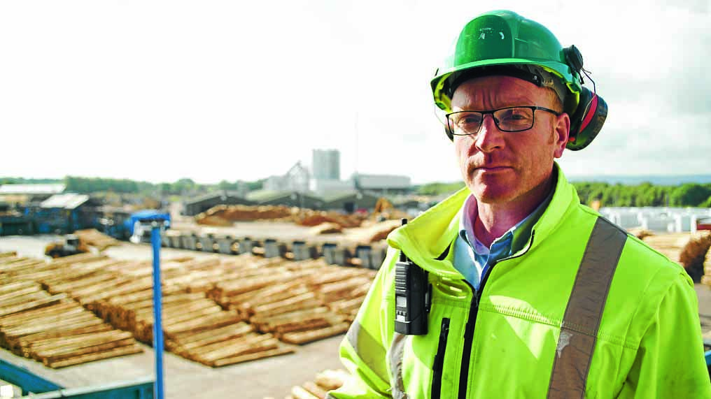 INVESTMENT . . . Andy Campbell manages the massive James Jones Sawmill at Lockerbie 