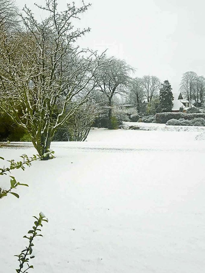 Winter at Waterbeck, by Alison Wilkinson