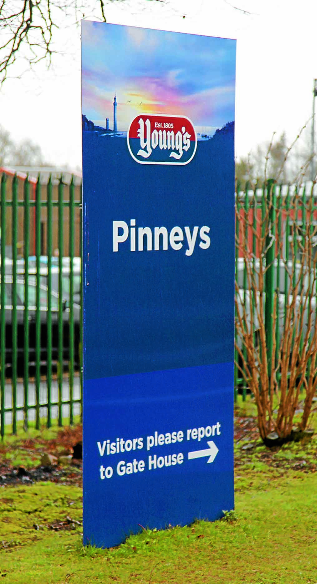 Pinneys' parent company for sale