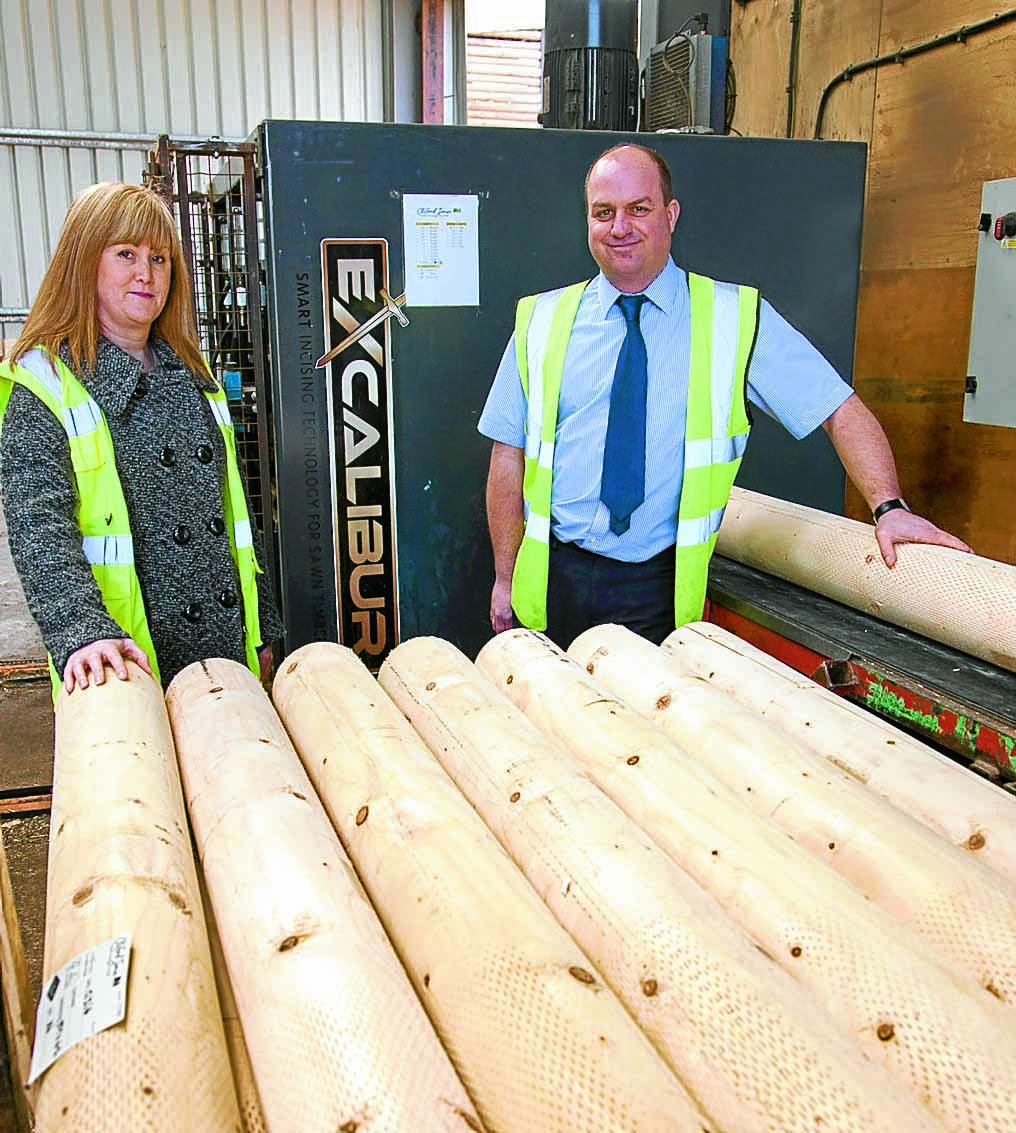 Irish boost for timber firm