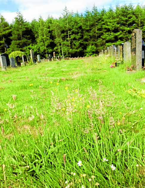 Headstones drama to be heard at Holyrood