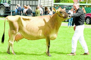 Dumfries Show – all the results