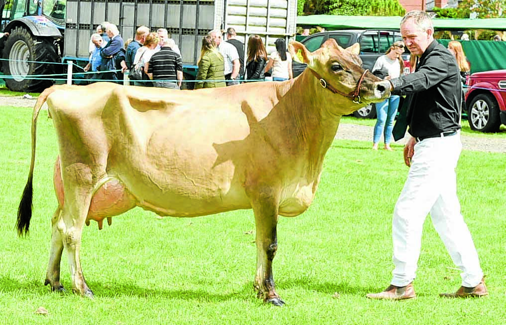 Dumfries Show - all the results