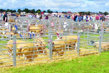 Dumfries Show – picture gallery