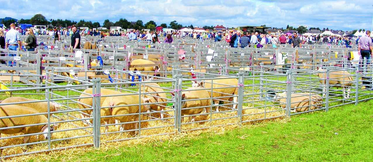 Dumfries Show - picture gallery