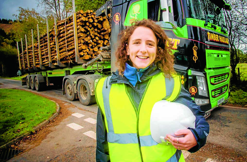 Timber routes boost