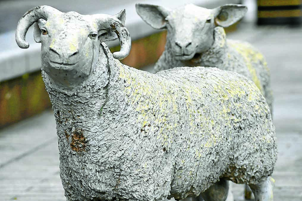 Town statues are looking sheepish