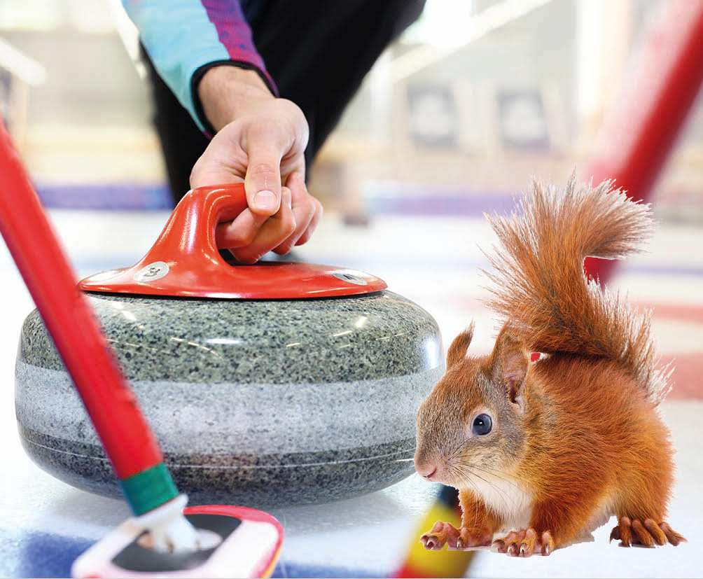 Curling or squirrels?