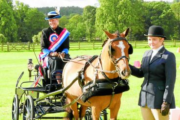 National joy for carriage drivers