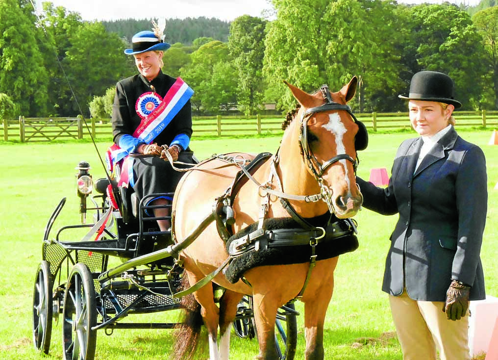 National joy for carriage drivers
