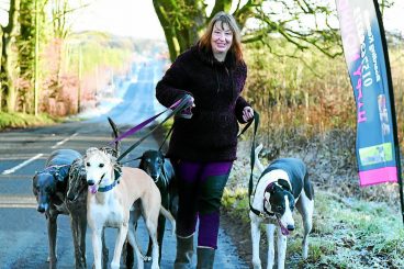 Mandy’s mission to rehome hounds