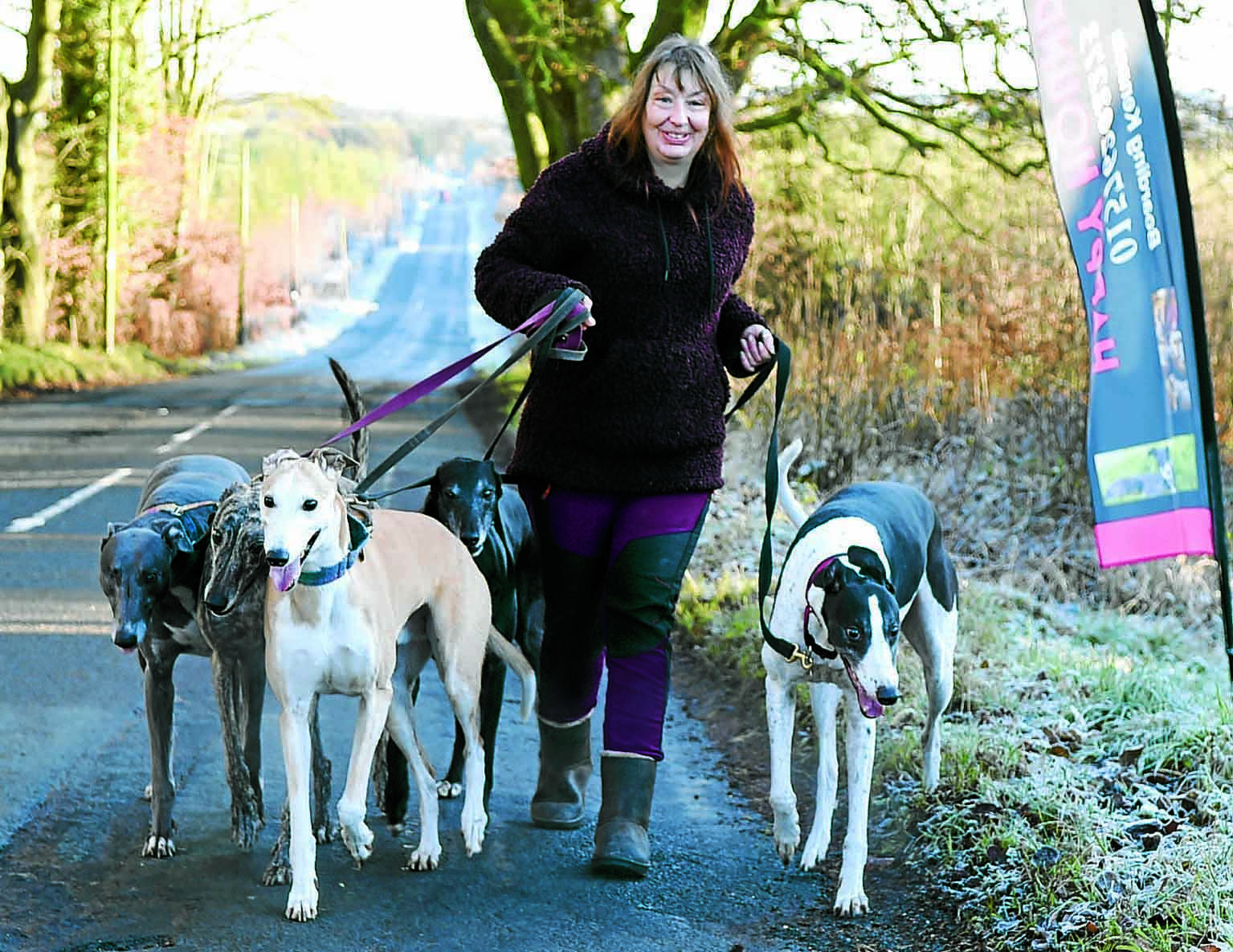 Mandy's mission to rehome hounds