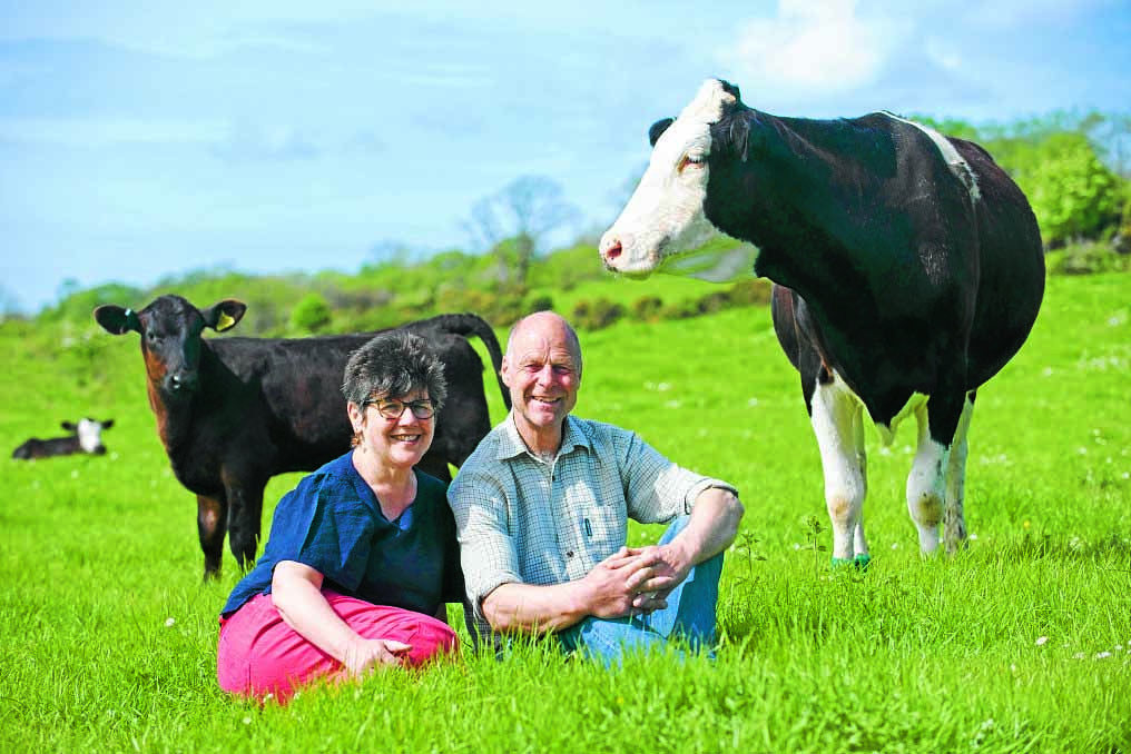 Good practice recognised at dairy firm