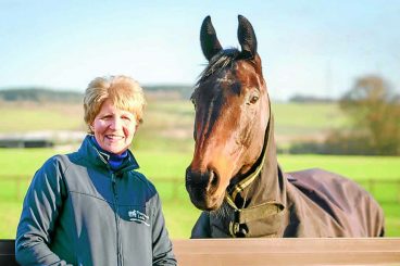 Equine physio creates a buzz