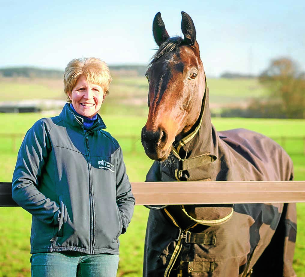 Equine physio creates a buzz