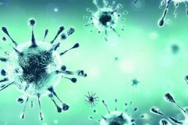 Virus claims 95 lives