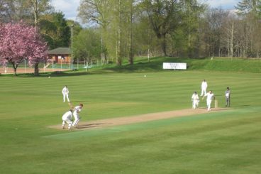 Dumfries cricket get their say