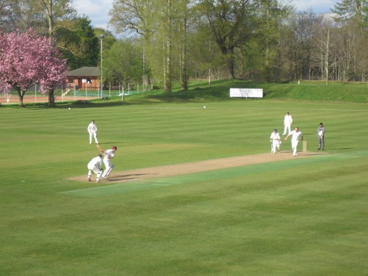 Dumfries cricket get their say