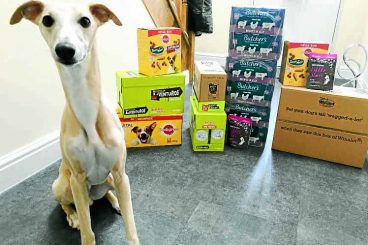 Donations flood in for four-legged friends