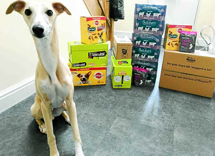 Donations flood in for four-legged friends