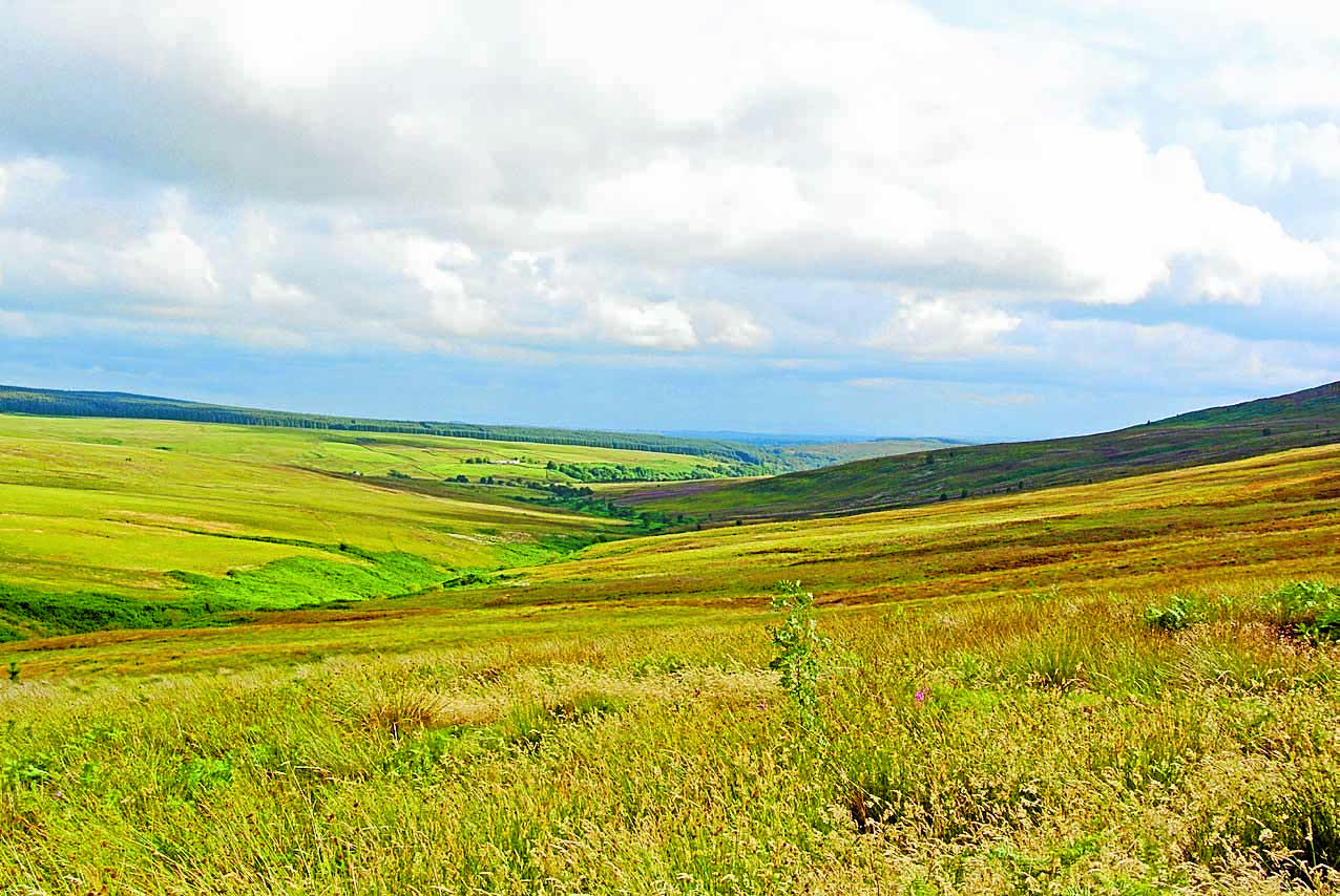 Donation boost for moorland expansion dream
