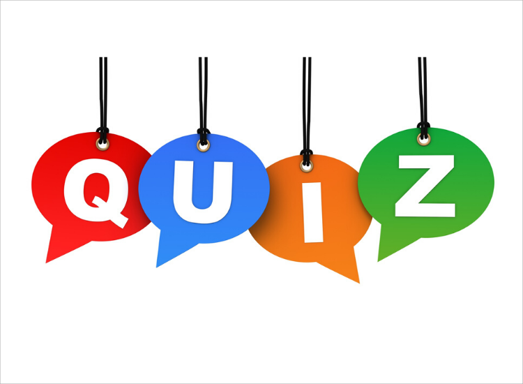 Get quizzing!