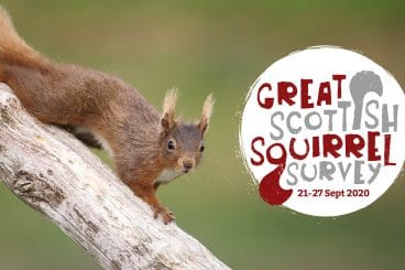 Get squirrel spotting