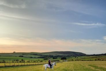 Happy horse, happy mum