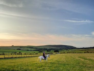 Happy horse, happy mum