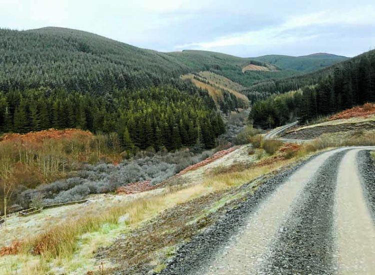 Views wanted on land use in the South region