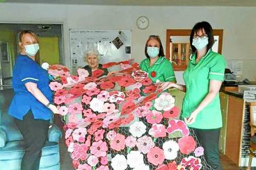 Poppy cascade is a floral wonder