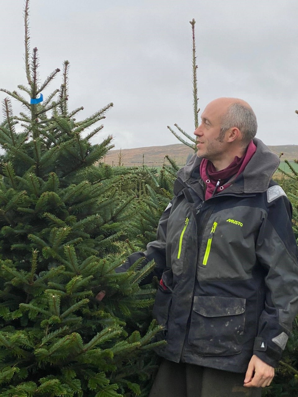 Xmas tree farmer harvests success