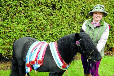 Garden ponies win points contest