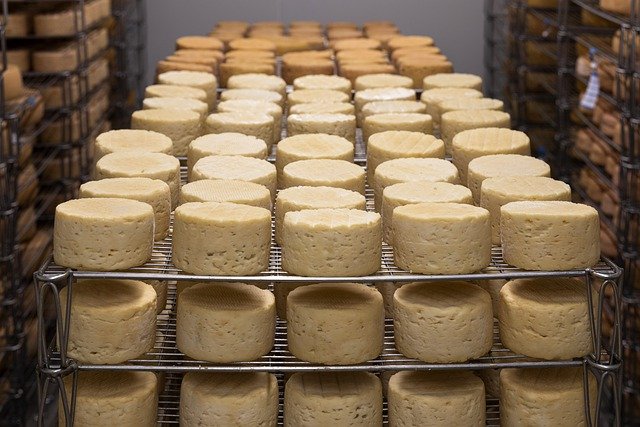 Cheese firm reveals Brexit export blow