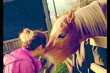 Family’s appeal for help to save pony