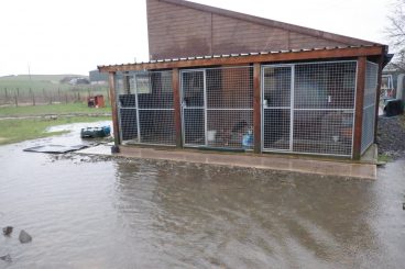 Floods threaten animal hospice