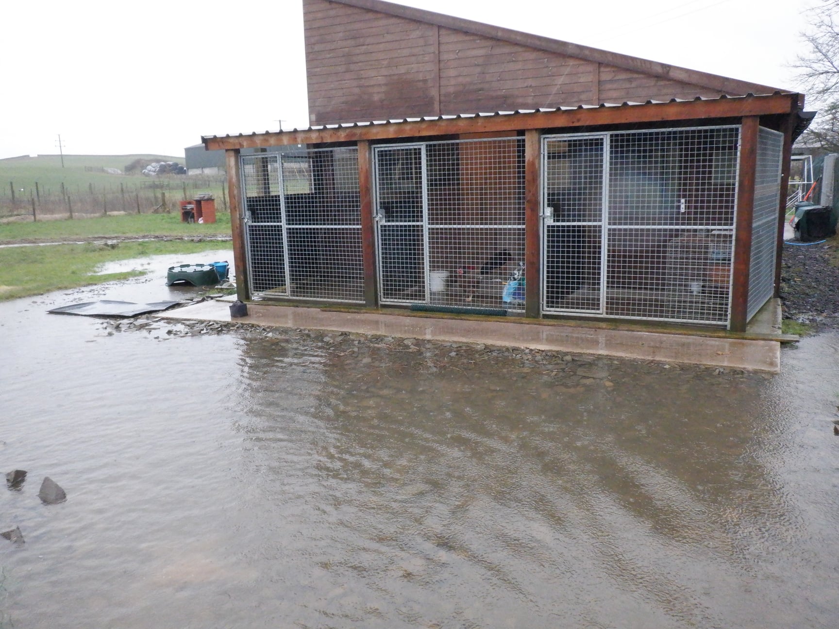 Floods threaten animal hospice
