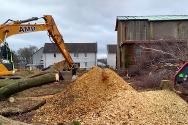 Council criticised over tree felling