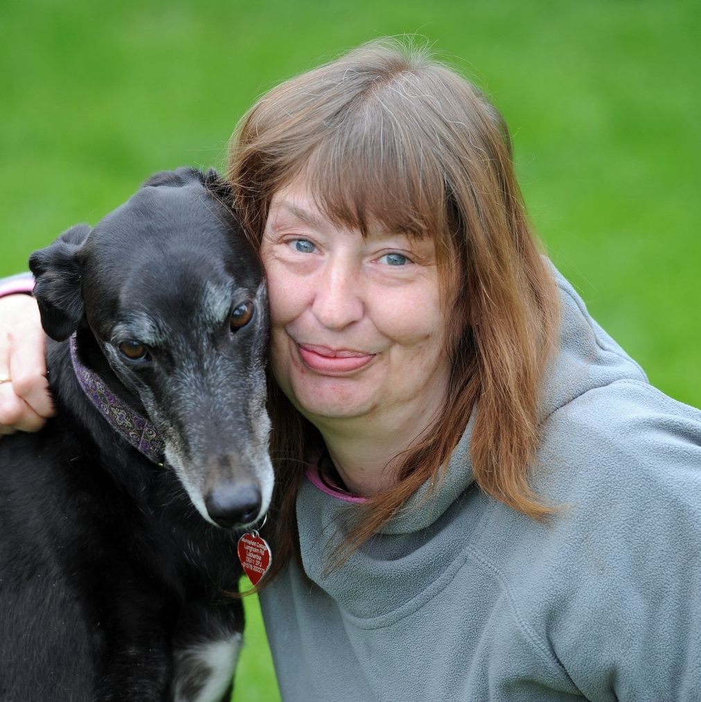 Firework terror at kennels