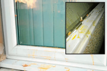 Gretna houses egged in vandalism spate
