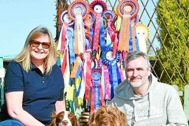 Flyball fans to set up new canine club