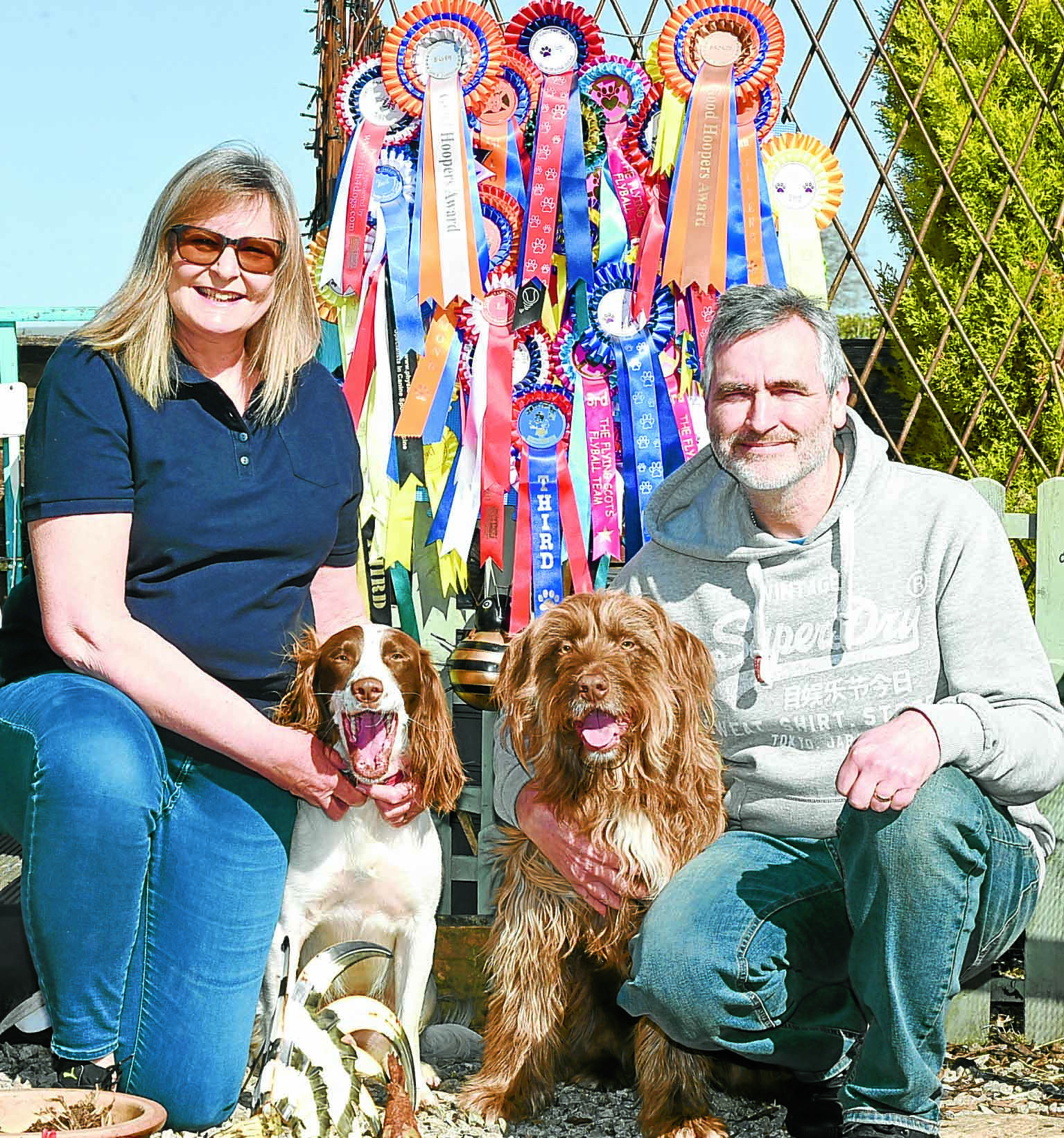 Flyball fans to set up new canine club