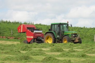 Silage pollution advice issued
