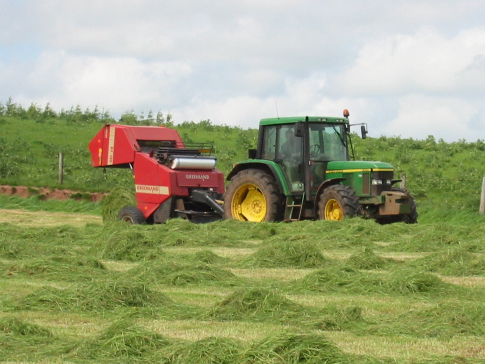 Silage pollution advice issued