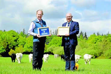 Annandale farmer wins prestigious award